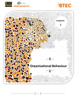 organisational behaviour 3