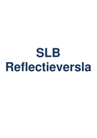 (Voorbeeld) SLB Reflectieverslag