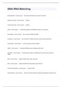 DNA RNA Matching Practice Questions And Answers 100&percnt; Guaranteed Success&period;
