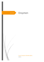 Verslag enzymen - zetmeelafbraak door amylase 