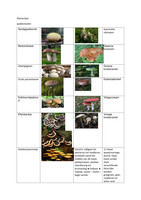 Dieren en plantenlijst met afbeeldingen