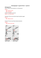 Bewegingen in gewrichten en spieren Anatomie