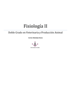 Latest Preview Thumbnail