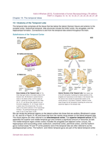 SUMMARY PART 2: Fundamentals of human Neuropsychology 