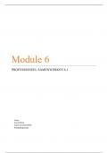 CHE module 6&period;1 samenwerken beoordeeld met een G