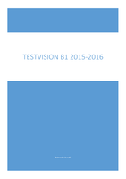 Testvision B1 theorie