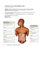Anatomie en fysiologie, een inleiding H16