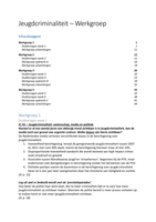 Complete werkgroep uitwerkingen Jeugdcriminaliteit 