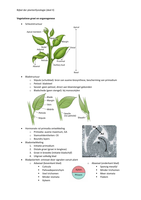 Samenvatting Plantenfysiologie Deeltentamen 2