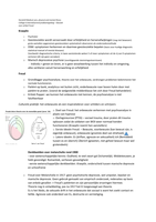 Henslin H7&comma;9 & Colleges internaliserend probleemgedrag modern en klassiek