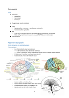 Neurowetenschappen - samenvatting neuro-anatomie