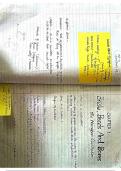 Humanities notes 