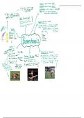 Biomechanics&comma; Impulse&comma; Levers&comma; Angular and Linear motion&comma; A Level AQA Mindmaps 