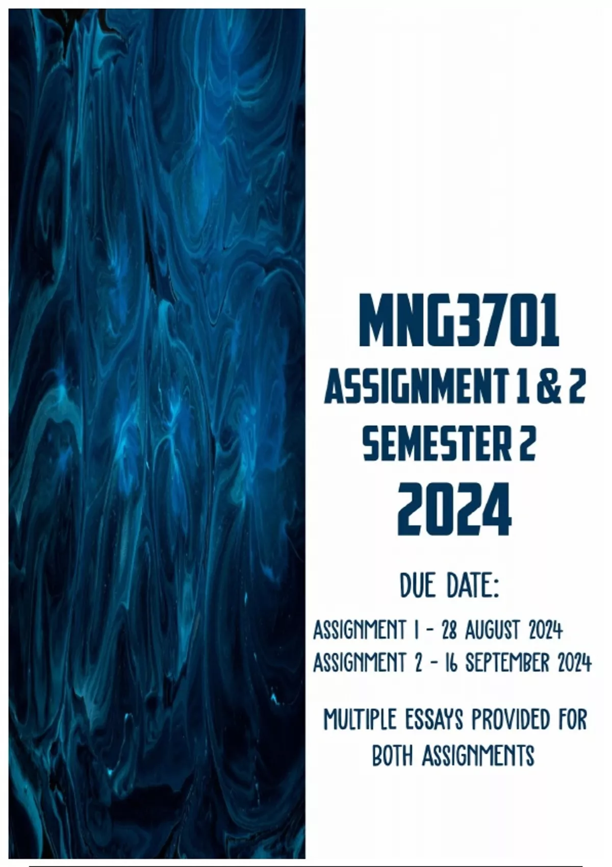 MNG3701 Assignment 1 and 2 Semester 2 2024 | Due 12 August 2024 ...