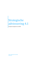 Stratgeische advisering 4.1