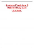 Anatomy Physiology 2 Updated Study Guide 2024-2025&period; 