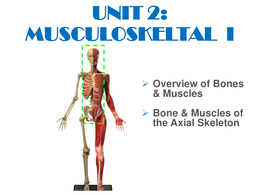 Musculoskelatal system powerpoint/ answer key