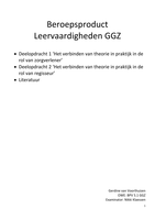BPV 5.1 GGZ - Beroepsproduct Leervaardigheden