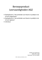 BPV 5.1 AGZ - Beroepsproduct Leervaardigheden