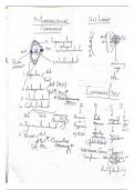 Summary Comprehensive Ophthalmology -  Cataract