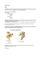 thema 2 thim van der laan