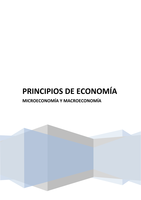 Apuntes Teoría Principio de Economía