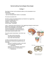 Samenvatting neurologie deel 1 - biopsychosociaal