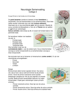 Samenvatting Neurologie WOZK (wereld op zijn kop)