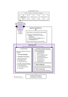 Samenvatting Schema Knechel - Hoofdstuk 7 Process Analysis and Risk Management
