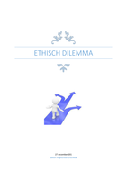 Ethisch Dilemma - Methodische Cyclus, Ethische Kaders