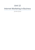 Unit 12 - Internet Marketing in Business