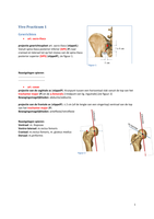 Functionele Anatomie III - VIVO
