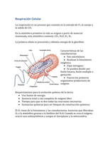Cellular respiration - Biology - 5th year