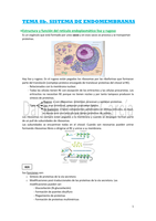 Tema 8b. Sistema de endomembranas (Yasmina)