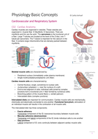Physiology Basic Concepts Cardiovascular function