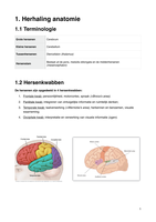 Neurokinesitherapie 2 - Neurologie (P. De Deyn)