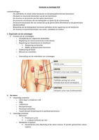 Anatomie: het urinair stelsel (H18)