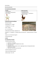 samenvatting aandoeningen landbouwhuisdieren: kip en konijn