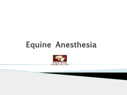 Equine Anaesthesia