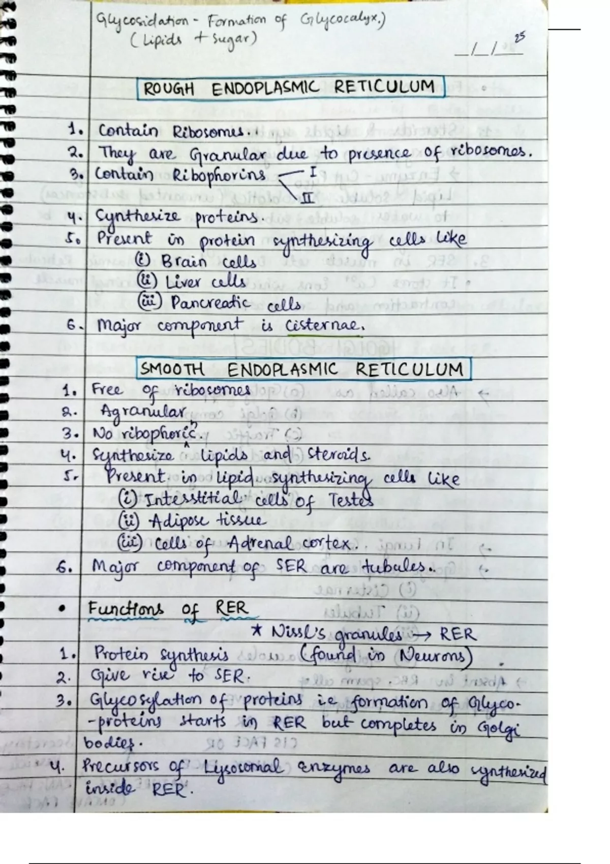 Notes for neet biology 2025 and 2026 - Neet - Stuvia US
