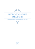 Samenvatting Micro-Economie Bruno Heyndels 2016-2017 (Micro II)