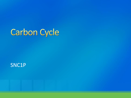 Simple Carbon Cycle Presentation