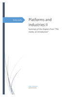 Media platforms and industries II, summary of the book chapters.