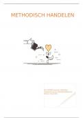 Essay Methodisch handelen 