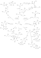 Organische Chemie met de reactiemechanismen VC3