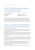 Campbell Hoofdstuk 7&colon; Cell Structure and Function
