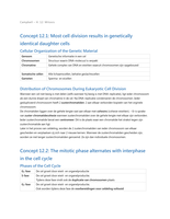 Campbell Hoofdstuk 12&colon; Mitosis