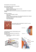 Oculaire Anatomie Het kamerwater en het corpus vitreum