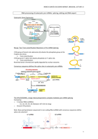 BMS2036 Lecture 11 RNA processing eukaryotic pre-MRNA