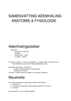 Samenvatting Ademhalingsstelsel Anatomie & Fysiologie